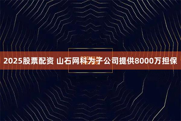 2025股票配资 山石网科为子公司提供8000万担保